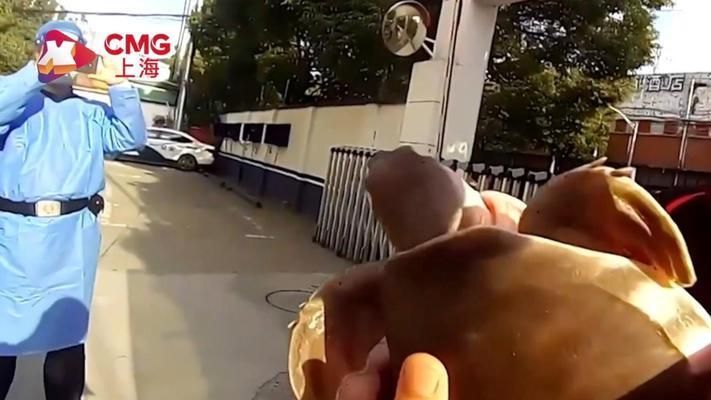 豬鼻龜是國家二級保護動物嗎為什么：豬鼻龜是國家二級保護動物嗎