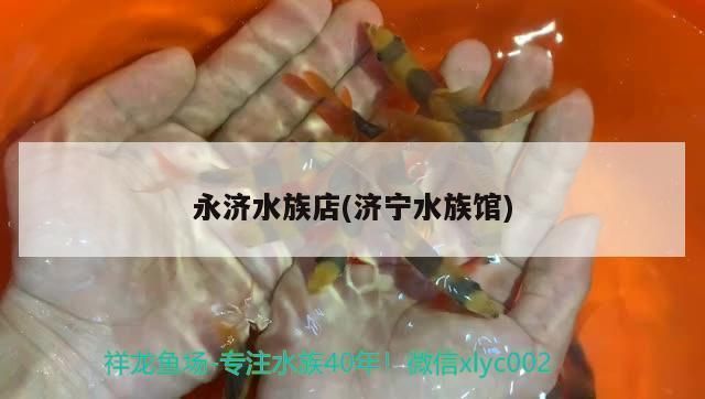 濟寧龍魚vs濟寧水族批發市場vs濟寧水族館vs濟寧魚缸批發市場vs祥龍魚場：濟寧水族批發市場 濟寧龍魚vs濟寧水族批發市場vs濟寧水族館vs濟寧魚缸批發市場vs祥龍魚場：濟寧水族批發市場 祥龍魚場各市分站 第6張