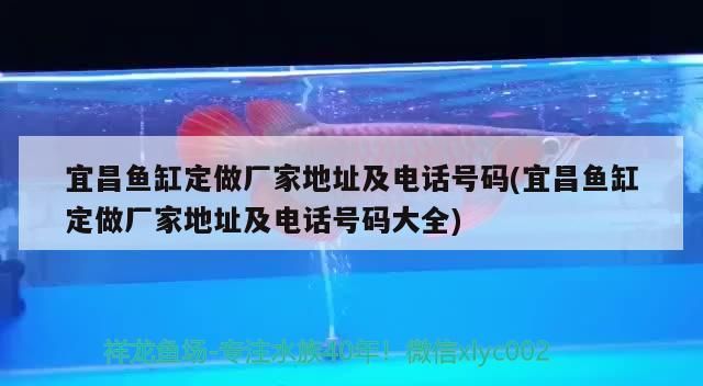 宜昌魚缸定做廠家地址及電話號碼(宜昌魚缸定做廠家地址及電話號碼大全) 元寶鳳凰魚百科 第2張 宜昌魚缸定做廠家地址及電話號碼(宜昌魚缸定做廠家地址及電話號碼大全) 宜昌魚缸定做廠家地址及電話號碼(宜昌魚缸定做廠家地址及電話號碼大全) 元寶鳳凰魚百科 第2張
