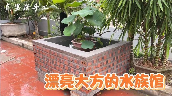開個水族館大約多少錢?。ㄩ_一個水族館的成本是多少？）