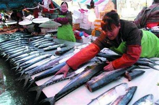 日照龍魚vs日照水族批發(fā)市場vs日照水族館vs日照魚缸批發(fā)市場vs祥龍魚場：日照觀賞魚批發(fā)市場 日照龍魚vs日照水族批發(fā)市場vs日照水族館vs日照魚缸批發(fā)市場vs祥龍魚場：日照觀賞魚批發(fā)市場 祥龍魚場各市分站 第4張