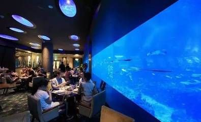 水族館生意怎么樣啊好做嗎現在（水族館生意怎么樣）