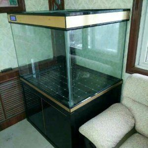 婁底龍魚vs婁底水族批發市場vs婁底水族館vs婁底魚缸批發市場vs祥龍魚場：婁底龍魚、婁底水族批發市場、婁底水族館、婁底魚缸批發市場信息 婁底龍魚vs婁底水族批發市場vs婁底水族館vs婁底魚缸批發市場vs祥龍魚場：婁底龍魚、婁底水族批發市場、婁底水族館、婁底魚缸批發市場信息 祥龍魚場各市分站 第4張