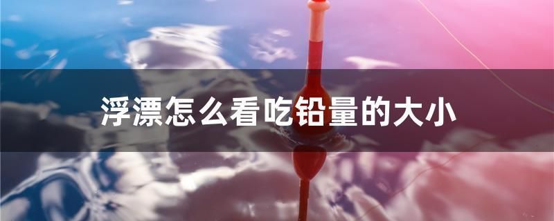 吐魯番龍魚vs吐魯番水族批發市場vs吐魯番水族館vs吐魯番魚缸批發市場vs祥龍魚場:吐魯番地區的龍魚交易市場 祥龍魚場各市分站 第6張 吐魯番龍魚vs吐魯番水族批發市場vs吐魯番水族館vs吐魯番魚缸批發市場vs祥龍魚場:吐魯番地區的龍魚交易市場 吐魯番龍魚vs吐魯番水族批發市場vs吐魯番水族館vs吐魯番魚缸批發市場vs祥龍魚場:吐魯番地區的龍魚交易市場 祥龍魚場各市分站 第6張