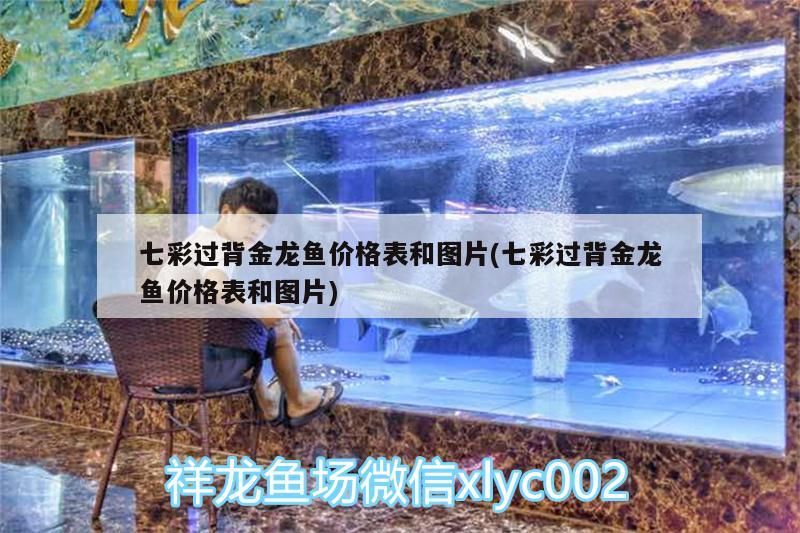 七彩過背金龍魚價格表和圖片(七彩過背金龍魚價格表和圖片) 金龍魚百科 第2張 七彩過背金龍魚價格表和圖片(七彩過背金龍魚價格表和圖片) 七彩過背金龍魚價格表和圖片(七彩過背金龍魚價格表和圖片) 金龍魚百科 第2張