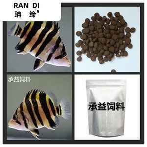 印尼虎魚能吃嗎怎么喂飼料：印尼虎魚可以吃嗎