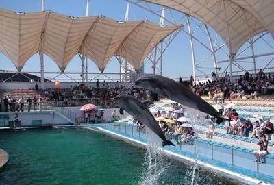 北戴河有水族館嗎（北戴河新澳海底世界游玩攻略）