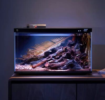 90魚缸尺寸的黃金比例是多少：90厘米長的魚缸尺寸或黃金比例是固定的最佳尺寸或黃金比例