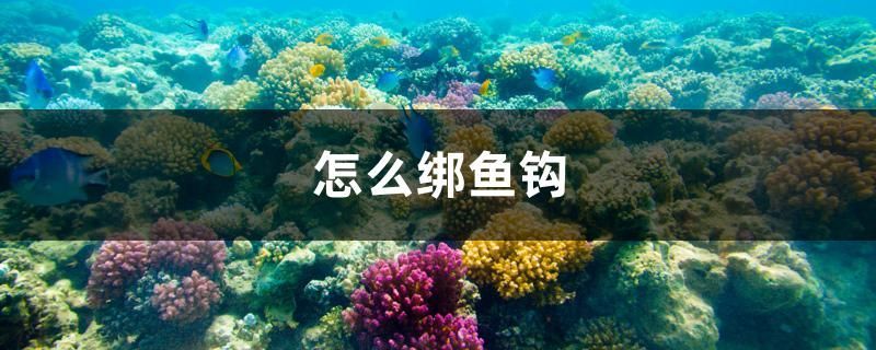 怎么綁魚鉤