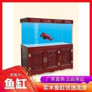 金龍魚尾巴開叉怎么回事：關于金龍魚尾巴開叉的一些詳細信息