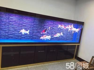 可麗愛魚缸官網(wǎng)專賣店電話號(hào)碼多少，可麗愛魚缸加盟條件查詢智拓實(shí)業(yè)公司地址在哪水族論壇可麗愛魚缸討論