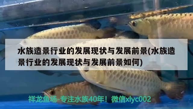 水族館排名一覽表最新（全球十大知名水族館排名）