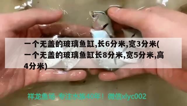 一個無蓋的玻璃魚缸,長6分米,寬3分米(一個無蓋的玻璃魚缸長8分米,寬5分米,高4分米)