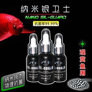 紅龍魚沉頭還能養好嗎：紅龍魚沉頭治療期間注意事項紅龍魚沉頭治療期間注意事項
