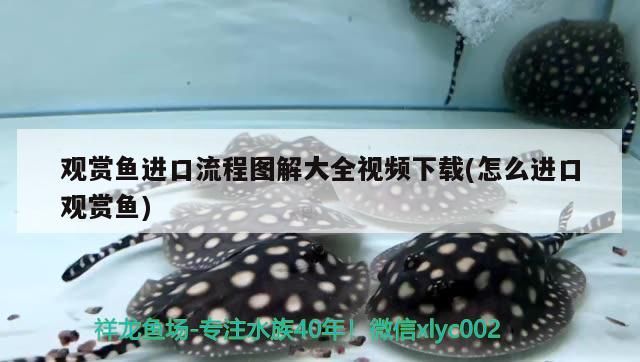 不銹鋼魚缸底柜的弊端有哪些 不銹鋼魚缸底柜的弊端有哪些呢