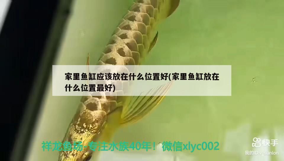 家里魚缸應該放在什么位置好(家里魚缸放在什么位置最好)
