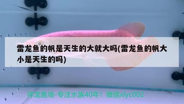 洛陽魚缸批發市場在哪里進貨的好點（洛陽哪里有賣缸的?）