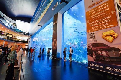 水族館開在什么地方合適（水族館如何選址） 水族館開在什么地方合適（水族館如何選址） 水族館百科（水族館加盟） 第2張