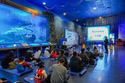 水族館開在什么地方合適（水族館如何選址） 水族館開在什么地方合適（水族館如何選址） 水族館百科（水族館加盟） 第6張