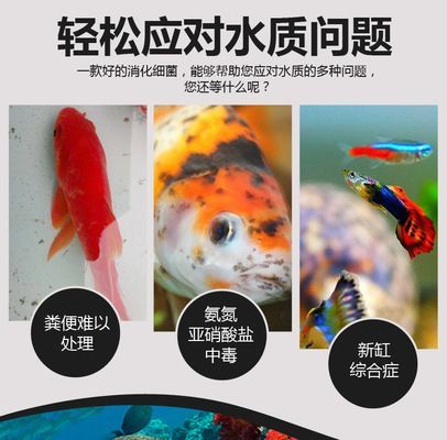金龍魚水泵流量多少：金龍魚水泵流量牌子