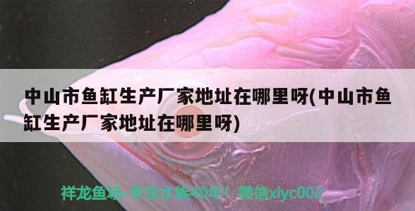 中山市魚缸生產廠家地址在哪里呀(中山市魚缸生產廠家地址在哪里呀)