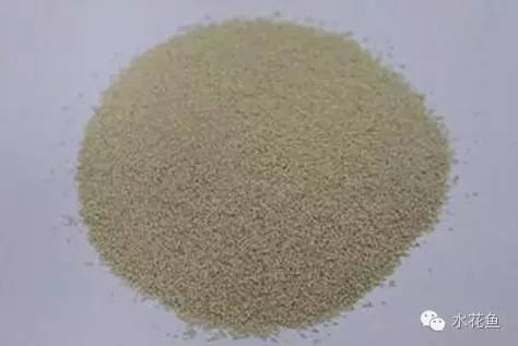 龍魚吃飼料魚好嗎怎么喂的呢