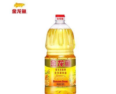 金龍魚財務狀況深度解析:金龍魚的財務健康狀況如何? 金龍魚百科 第4張 金龍魚財務狀況深度解析:金龍魚的財務健康狀況如何? 金龍魚財務狀況深度解析:金龍魚的財務健康狀況如何? 金龍魚百科 第4張