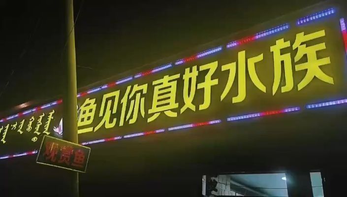 巴彥淖爾龍魚vs巴彥淖爾水族批發市場vs巴彥淖爾水族館vs巴彥淖爾魚缸批發市場vs祥龍魚場：巴彥淖爾水族批發市場