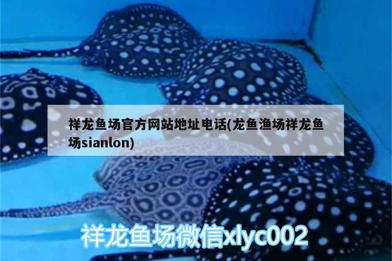 祥龍魚場官方網站地址電話(龍魚漁場祥龍魚場sianlon)