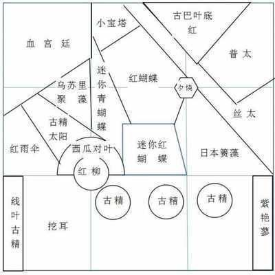 銅川龍魚vs銅川水族批發市場vs銅川水族館vs銅川魚缸批發市場vs祥龍魚場：銅川水族館、祥龍魚場魚缸批發市場價格對比