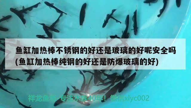 魚缸加熱棒不銹鋼的好還是玻璃的好呢安全嗎(魚缸加熱棒純鋼的好還是防爆玻璃的好)