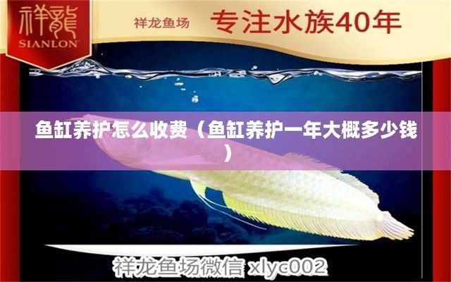 魚缸維護(hù)一次多少錢，如何降低魚缸維護(hù)成本