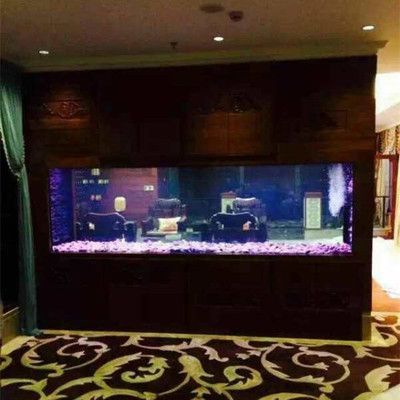 魚缸維護(hù)一次多少錢，如何降低魚缸維護(hù)成本