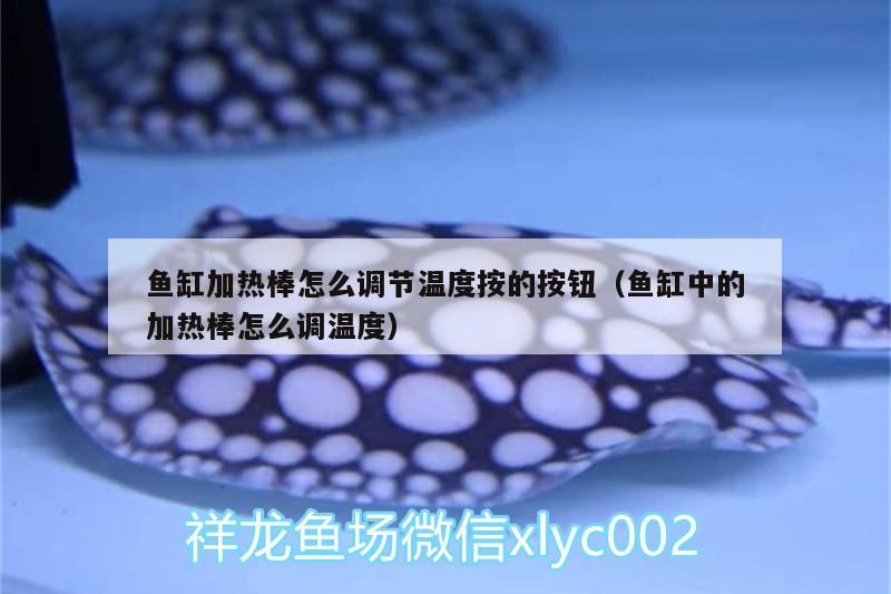魚(yú)缸加熱棒怎么調(diào)節(jié)溫度按的按鈕（魚(yú)缸中的加熱棒怎么調(diào)溫度）