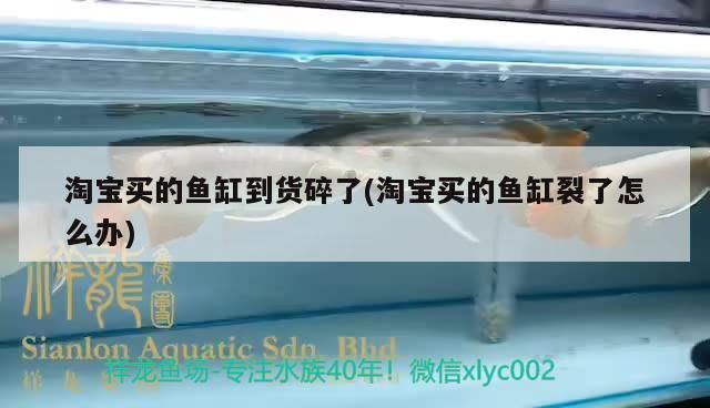 淘寶買的魚缸到貨碎了(淘寶買的魚缸裂了怎么辦)