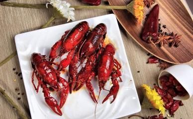 祥龍超血紅龍魚養殖成本分析