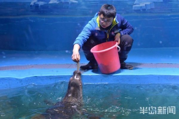 水族館免費開放嗎現在:關于水族館免費開放的一些小知識 水族館百科(水族館加盟) 第6張 水族館免費開放嗎現在:關于水族館免費開放的一些小知識 水族館免費開放嗎現在:關于水族館免費開放的一些小知識 水族館百科(水族館加盟) 第6張