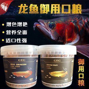 大湖魚紅龍發色怎么調：大湖魚紅龍發色調整方法 大湖魚紅龍發色怎么調：大湖魚紅龍發色調整方法 大湖紅龍魚百科 第6張