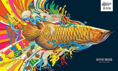 紅龍魚怎么挑選最好的品種視頻(紅龍魚怎么挑選最好的品種視頻講解)