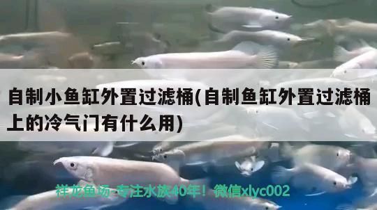 自制小魚缸外置過濾桶(自制魚缸外置過濾桶上的冷氣門有什么用)