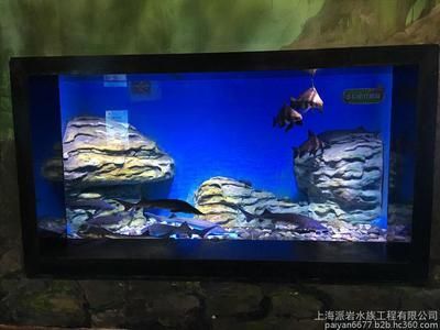 水族館制作廠家有哪些公司：水族館制作廠家價格