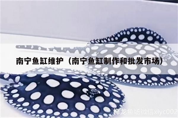 南寧魚缸維護（南寧魚缸制作和批發市場）