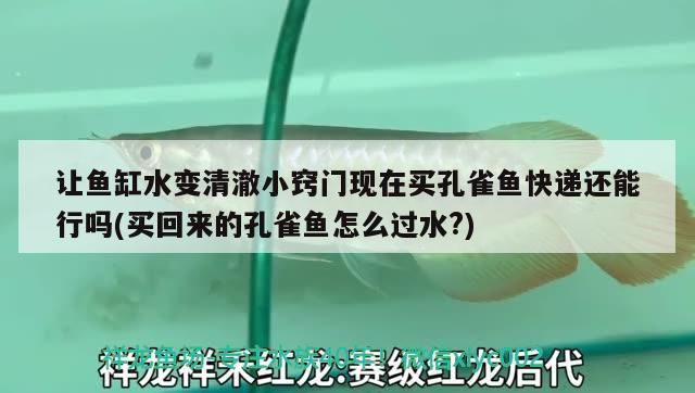 克里索發色了是真漂亮