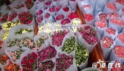 深圳龍魚vs深圳水族批發市場vs深圳水族館vs深圳魚缸批發市場vs祥龍魚場：深圳龍魚、水族批發市場、水族館、魚缸批發市場、魚缸批發市場