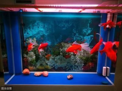 水族館起名字大全6（水族館名字大全6：在為水族館起名時我們可以考慮一些與海洋相關的詞匯）