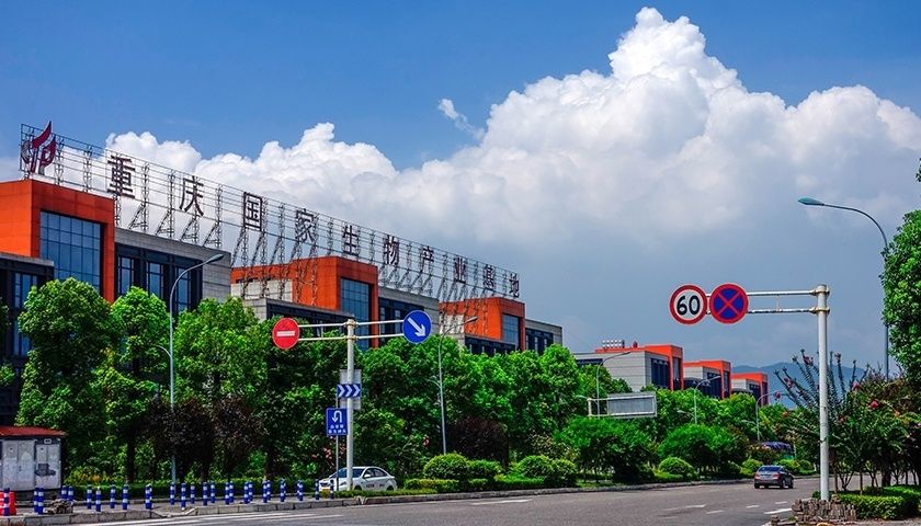 印尼大湖紅龍魚怎么養的好（印尼大湖紅龍魚怎么養的好呢）