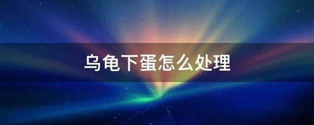 豬鼻龜下蛋怎么辦啊：豬鼻龜養殖方法