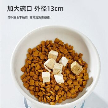 喵仙兒魚缸，喵仙兒品牌可能與寵物貓和魚缸有關聯