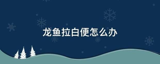 龍魚白便但是食欲很好vs祥龍魚場：龍魚白便是由多種因素引起的