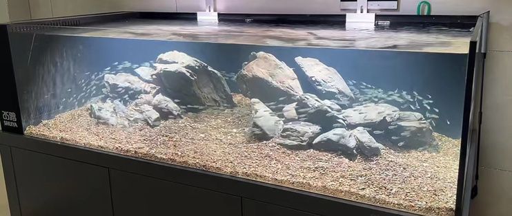 歐鉑龍魚缸底濾，歐鉑龍魚缸底濾與上濾的區別如何選擇合適的魚缸底濾